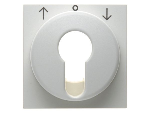 Zentralstück für Jalousie-Schlüsselschal ter/-taster S.1 polarweiß, glänzend